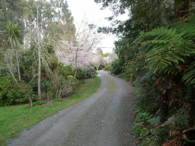Richlyn Homestay Luxury Bed & Breakfast Taupo Exterior photo